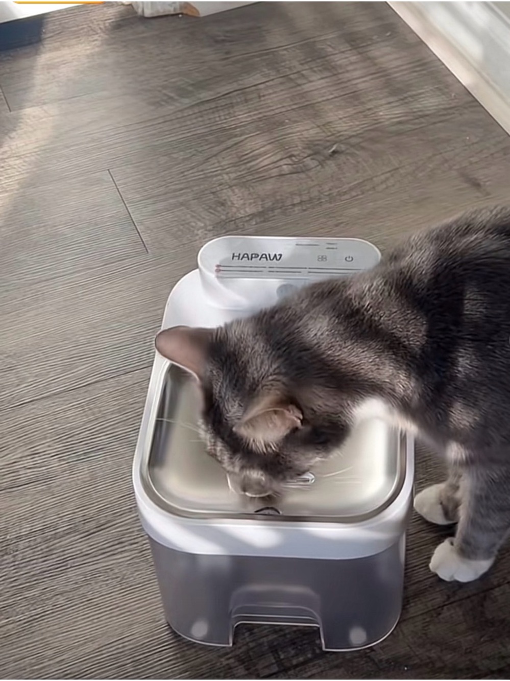 NEW HAPAW Intelligent Pet Water Fountain - White with Clear Tank - Picture 3 of 5